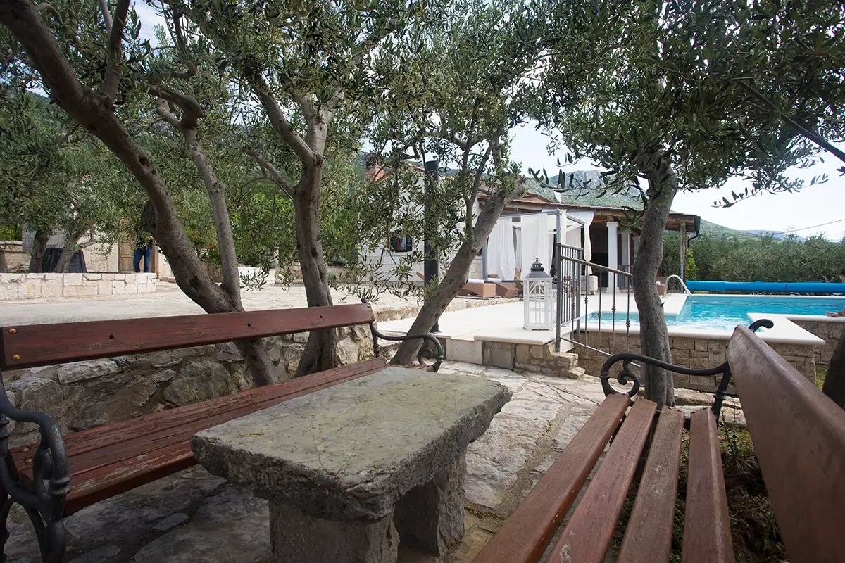 Outdoor old stone table beneath two olive trees, next to the pool, with wooden benches around the table.